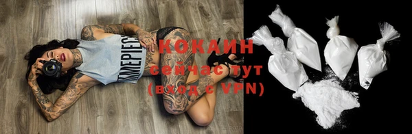 кокс Алексин