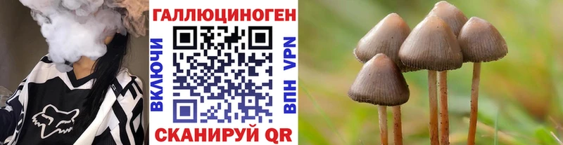 гидра ТОР  Перевоз  Псилоцибиновые грибы GOLDEN TEACHER 